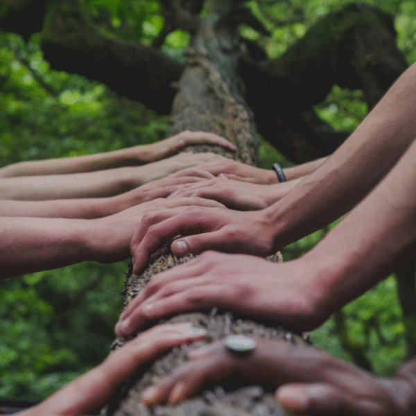 belonging